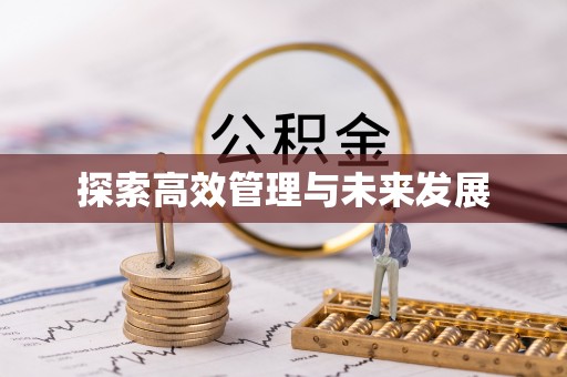 平乐探索高效管理与未来发展