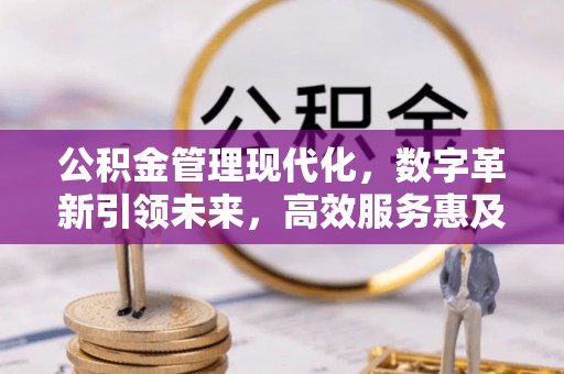 平乐公积金管理现代化，数字革新引领未来，高效服务惠及民生