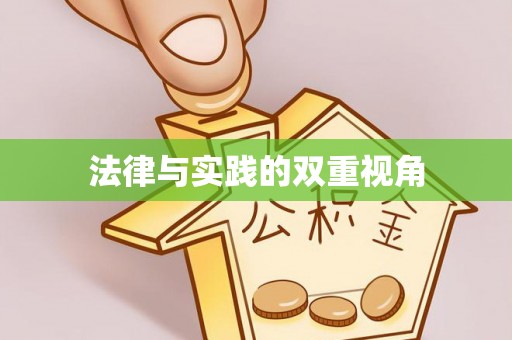 平乐法律与实践的双重视角