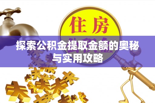 平乐探索公积金提取金额的奥秘与实用攻略