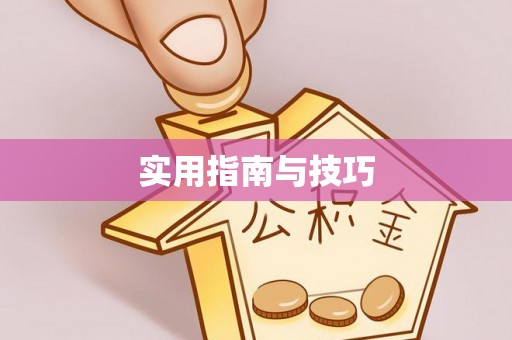 平乐实用指南与技巧