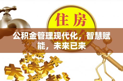 平乐公积金管理现代化，智慧赋能，未来已来