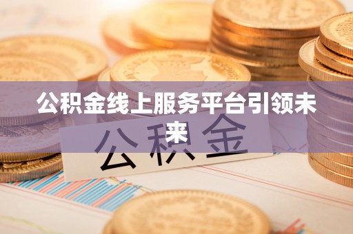 平乐公积金线上服务平台引领未来