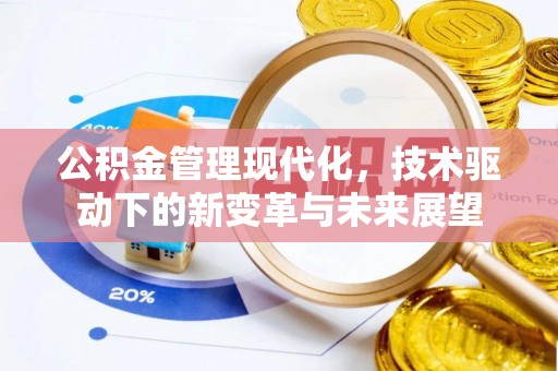 平乐公积金管理现代化，技术驱动下的新变革与未来展望